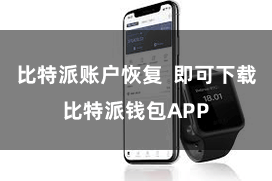 比特派账户恢复 即可下载比特派钱包APP