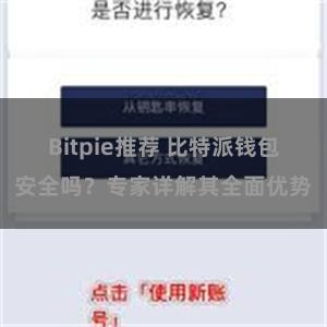 Bitpie推荐 比特派钱包安全吗？专家详解其全面优势