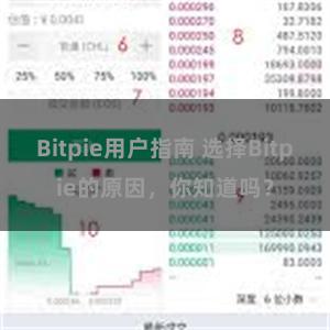 Bitpie用户指南 选择Bitpie的原因，你知道吗？