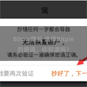 Bitpie隐私 选择Bitpie的原因，你知道吗？