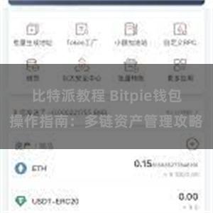 比特派教程 Bitpie钱包操作指南：多链资产管理攻略