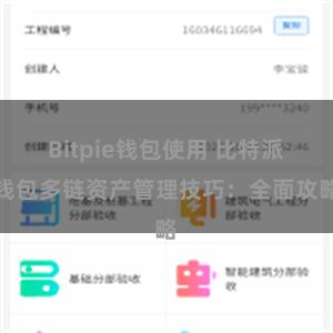 Bitpie钱包使用 比特派钱包多链资产管理技巧：全面攻略