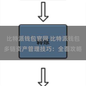 比特派钱包官网 比特派钱包多链资产管理技巧：全面攻略