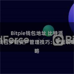 Bitpie钱包地址 比特派钱包多链资产管理技巧：全面攻略