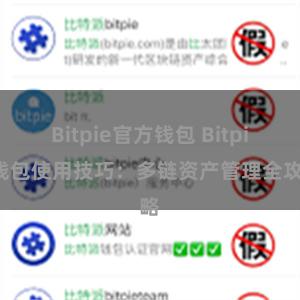 Bitpie官方钱包 Bitpie钱包使用技巧：多链资产管理全攻略