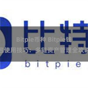 Bitpie币种 Bitpie钱包使用技巧：多链资产管理全攻略