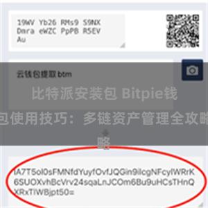 比特派安装包 Bitpie钱包使用技巧：多链资产管理全攻略