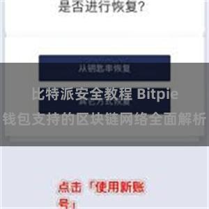 比特派安全教程 Bitpie钱包支持的区块链网络全面解析