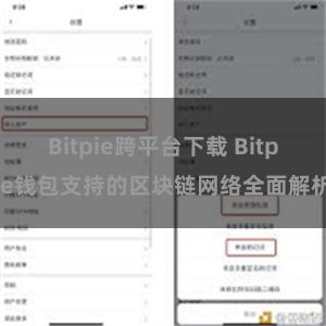 Bitpie跨平台下载 Bitpie钱包支持的区块链网络全面解析