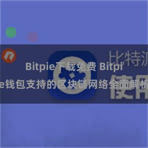 Bitpie下载免费 Bitpie钱包支持的区块链网络全面解析