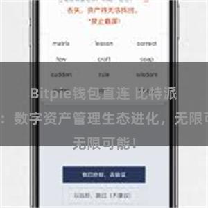 Bitpie钱包直连 比特派钱包：数字资产管理生态进化，无限可能！