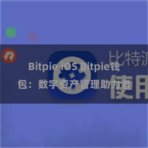 Bitpie iOS Bitpie钱包：数字资产管理助力者