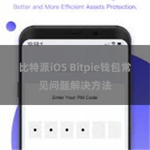 比特派iOS Bitpie钱包常见问题解决方法