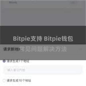 Bitpie支持 Bitpie钱包常见问题解决方法