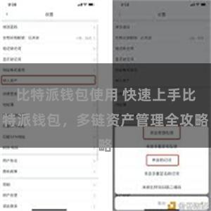 比特派钱包使用 快速上手比特派钱包，多链资产管理全攻略