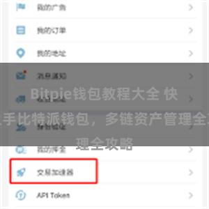 Bitpie钱包教程大全 快速上手比特派钱包，多链资产管理全攻略