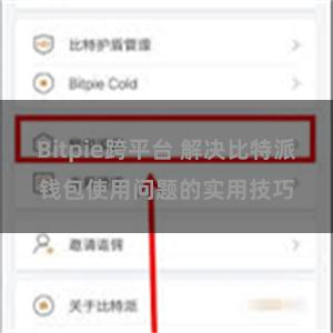 Bitpie跨平台 解决比特派钱包使用问题的实用技巧