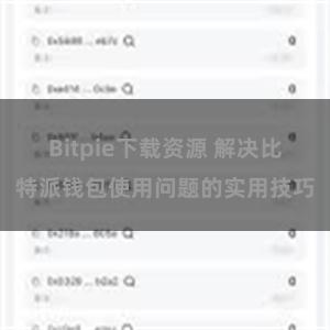 Bitpie下载资源 解决比特派钱包使用问题的实用技巧