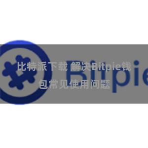 比特派下载 解决Bitpie钱包常见使用问题