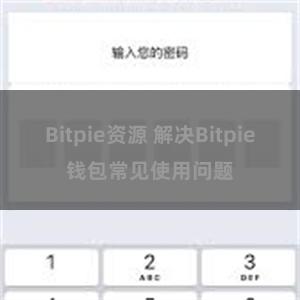 Bitpie资源 解决Bitpie钱包常见使用问题