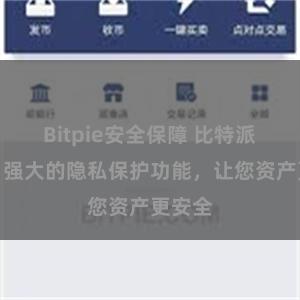 Bitpie安全保障 比特派钱包：强大的隐私保护功能，让您资产更安全