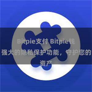 Bitpie支付 Bitpie钱包：强大的隐私保护功能，守护您的资产