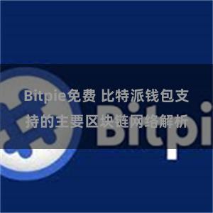 Bitpie免费 比特派钱包支持的主要区块链网络解析