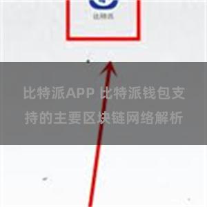 比特派APP 比特派钱包支持的主要区块链网络解析