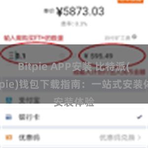 Bitpie APP安装 比特派(Bitpie)钱包下载指南：一站式安装体验