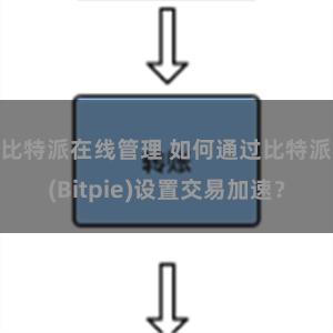 比特派在线管理 如何通过比特派(Bitpie)设置交易加速？