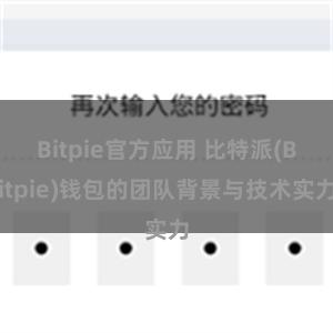 Bitpie官方应用 比特派(Bitpie)钱包的团队背景与技术实力