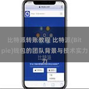 比特派转账教程 比特派(Bitpie)钱包的团队背景与技术实力