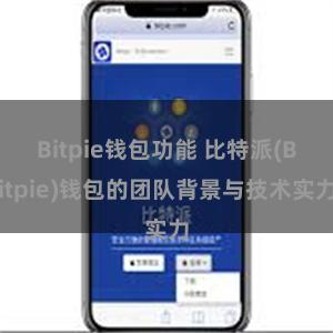 Bitpie钱包功能 比特派(Bitpie)钱包的团队背景与技术实力