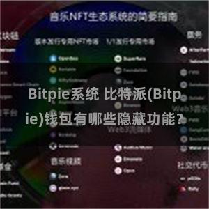 Bitpie系统 比特派(Bitpie)钱包有哪些隐藏功能？