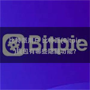 比特派用户 比特派(Bitpie)钱包有哪些隐藏功能？