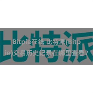 Bitpie在线 比特派(Bitpie)交易历史记录在哪里查看？