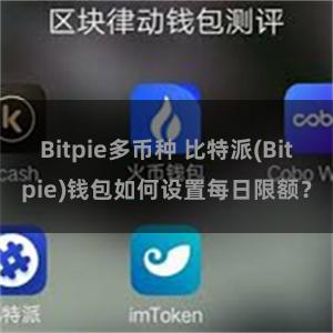 Bitpie多币种 比特派(Bitpie)钱包如何设置每日限额？