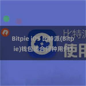 Bitpie iOS 比特派(Bitpie)钱包适合何种用户？