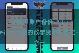 比特派账户备份  Bitpie行为闻明的数字货币钱包之一