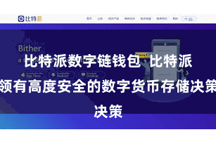比特派数字链钱包  比特派领有高度安全的数字货币存储决策