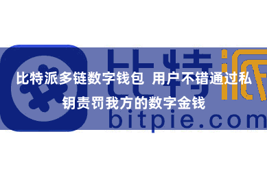 比特派多链数字钱包  用户不错通过私钥责罚我方的数字金钱