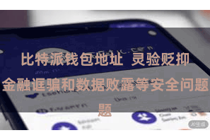 比特派钱包地址  灵验贬抑金融诓骗和数据败露等安全问题