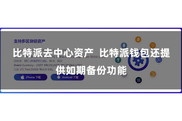 比特派去中心资产  比特派钱包还提供如期备份功能