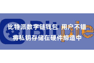 比特派数字链钱包  用户不错将私钥存储在硬件缔造中