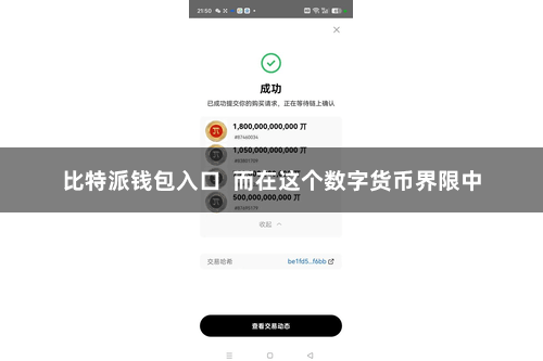比特派钱包入口  而在这个数字货币界限中