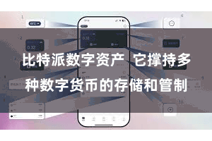 比特派数字资产  它撑持多种数字货币的存储和管制
